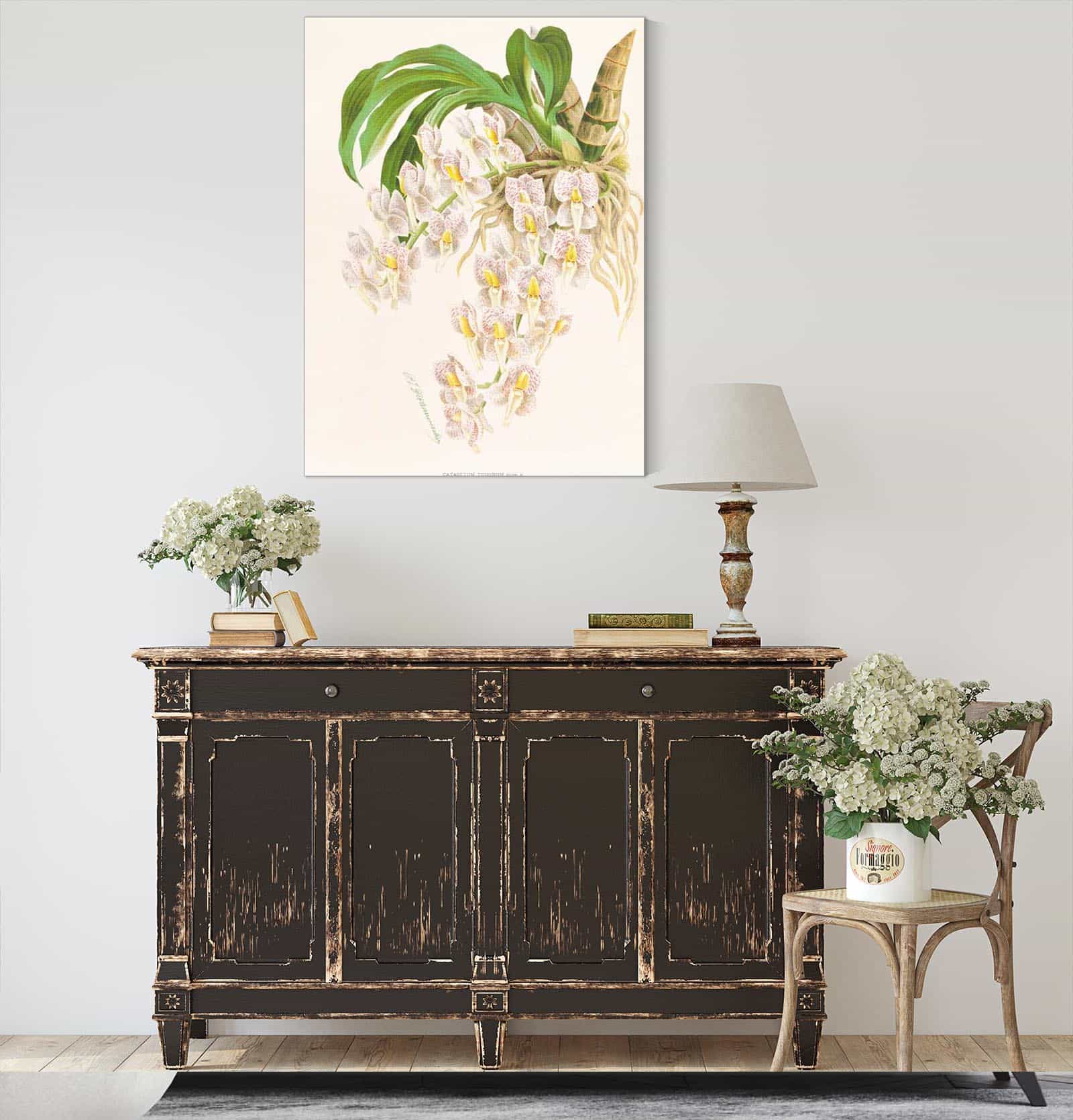 Catasetum Tigrinum by Jean Jules Linden