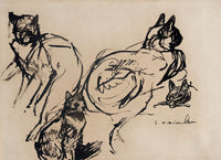 Cats Th Th Century by Theophile Alexandre Steinlen