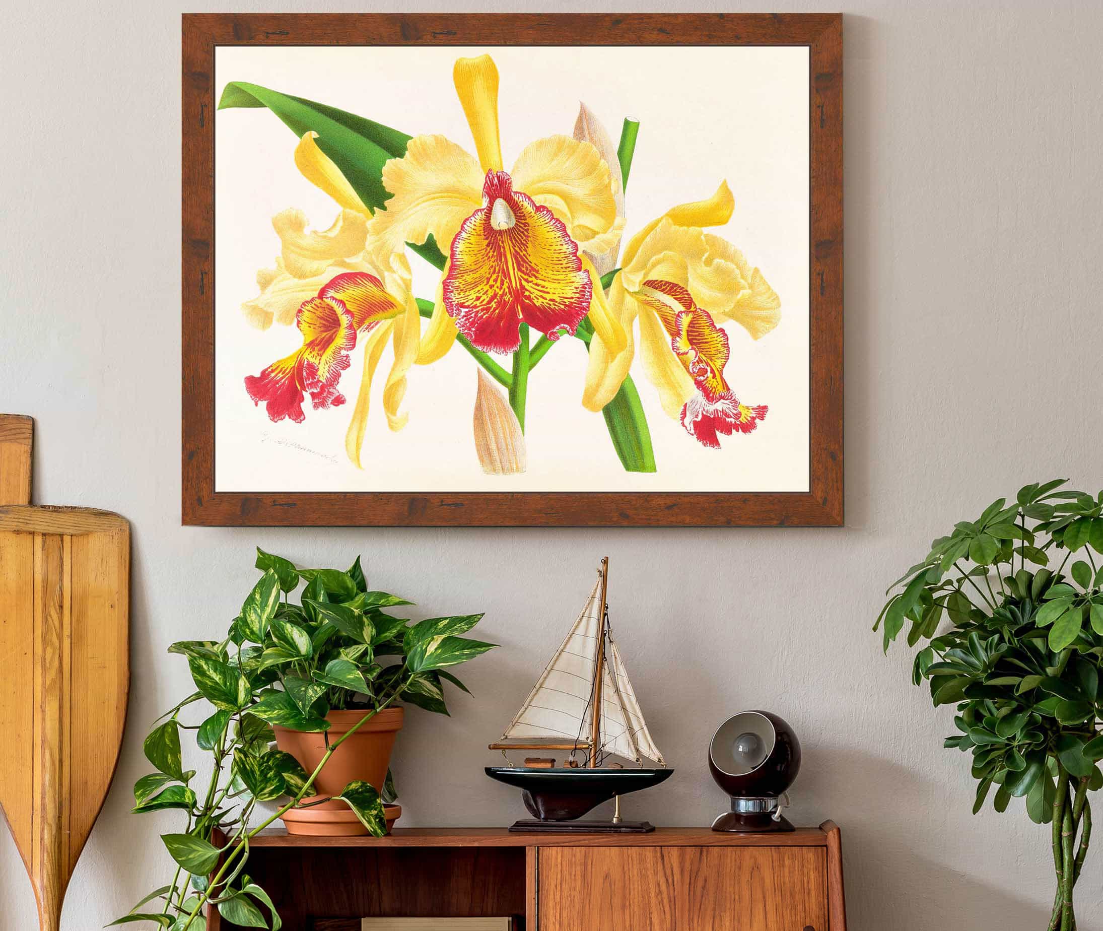 Cattleya Aurea by Jean Jules Linden