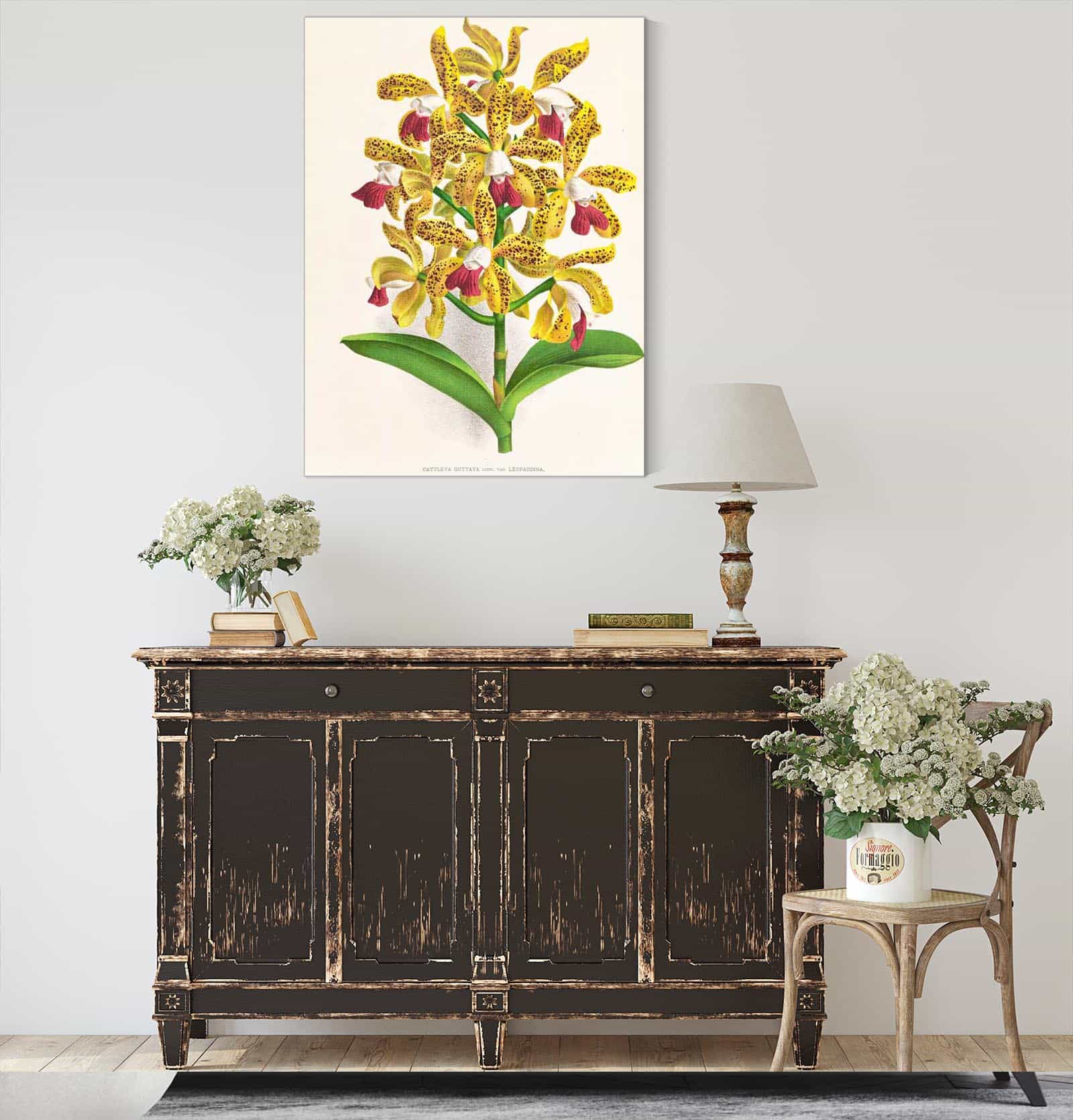 Cattleya Guttata by Jean Jules Linden