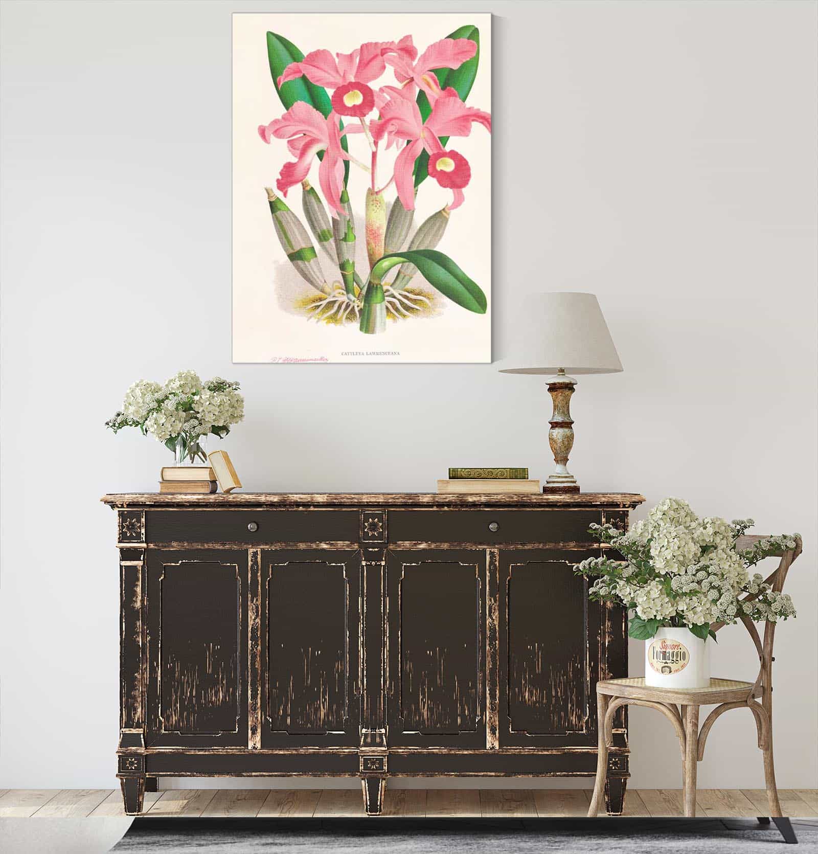 Cattleya Lawrenceana by Jean Jules Linden