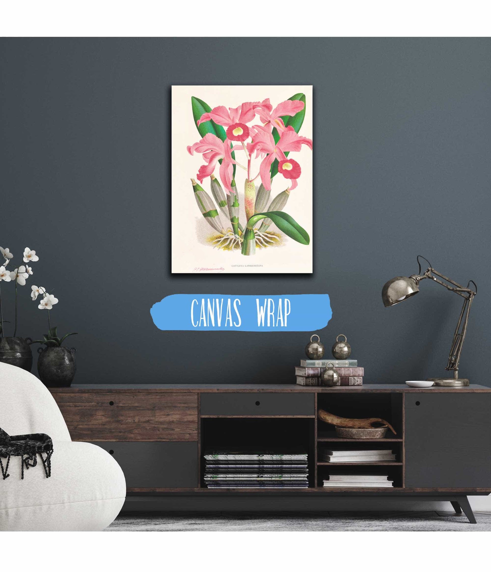 Cattleya Lawrenceana by Jean Jules Linden