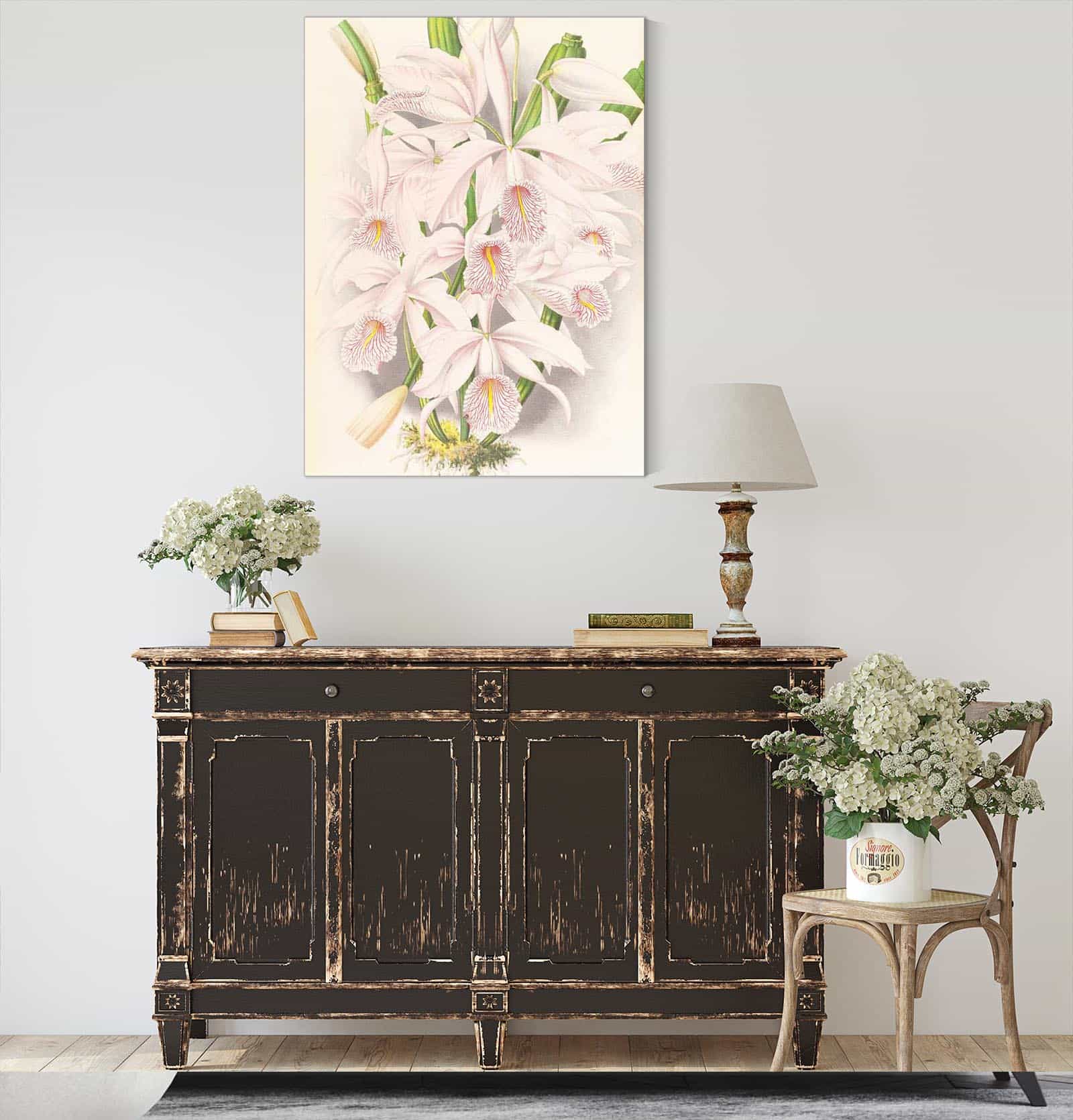 Cattleya Maxima by Jean Jules Linden