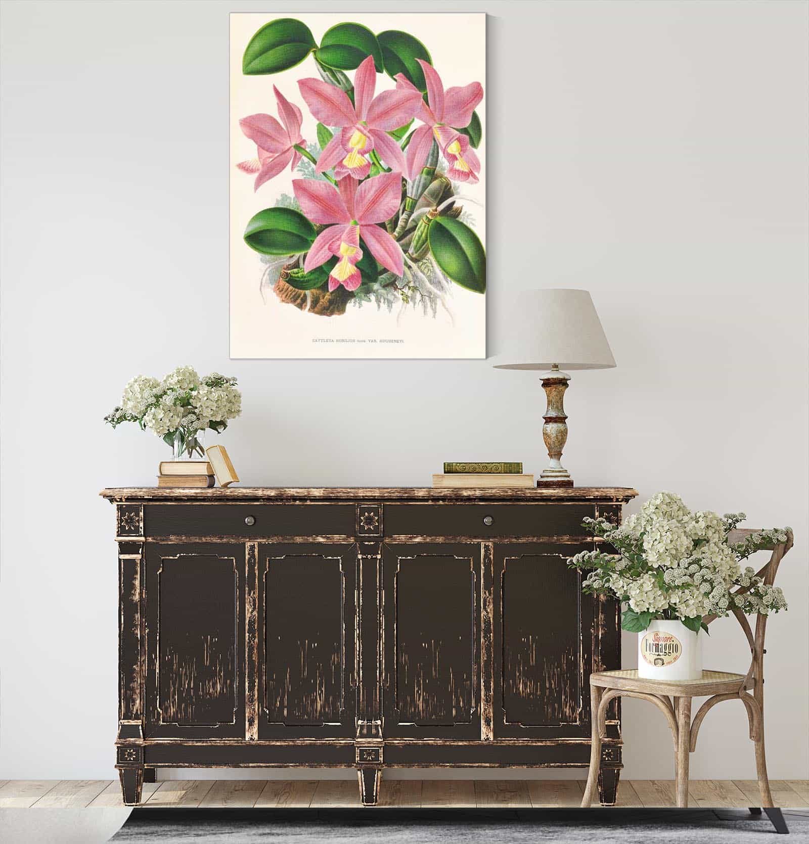 Cattleya Nobilior by Jean Jules Linden