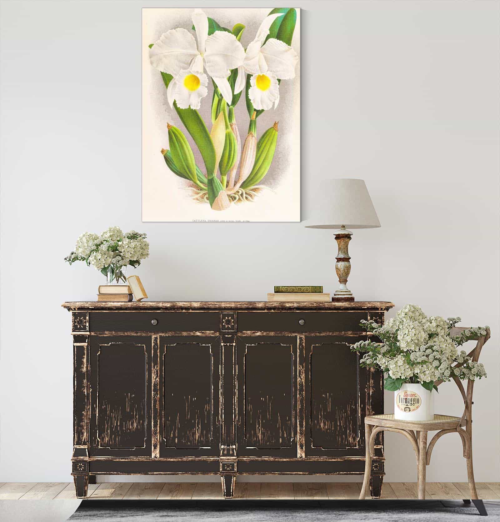 Cattleya Trianae by Jean Jules Linden
