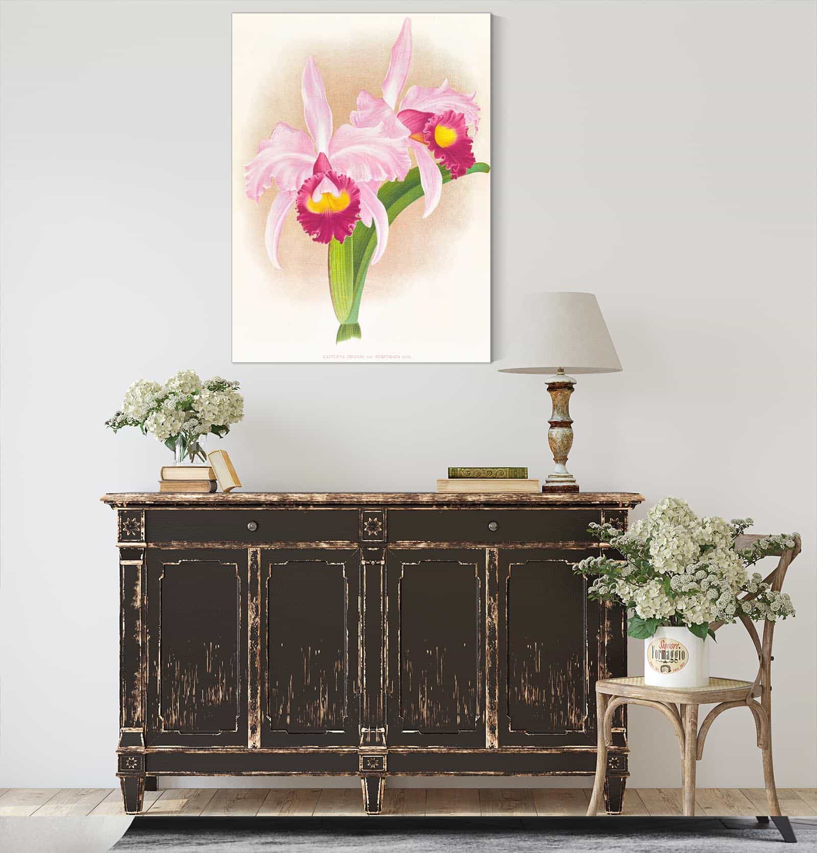 Cattleya Trianae Var Purpurata by Jean Jules Linden