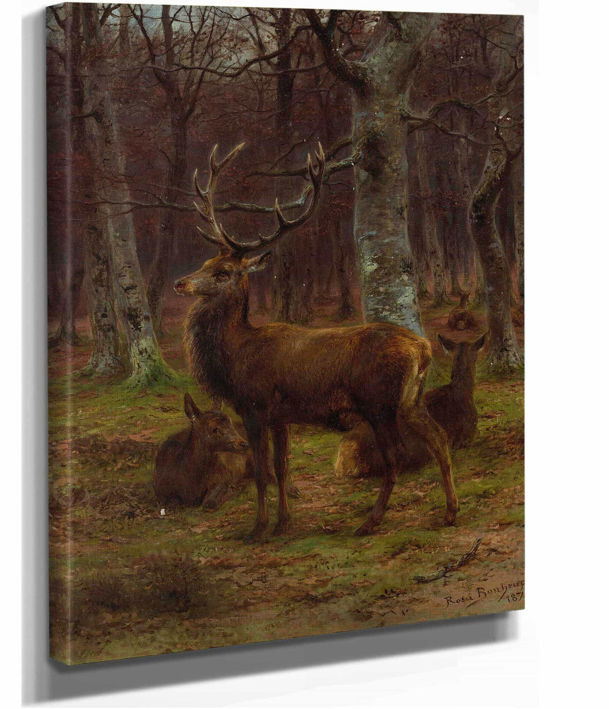 Cerf Et Biches Dans La Foret Automne by Rosa Bonheur