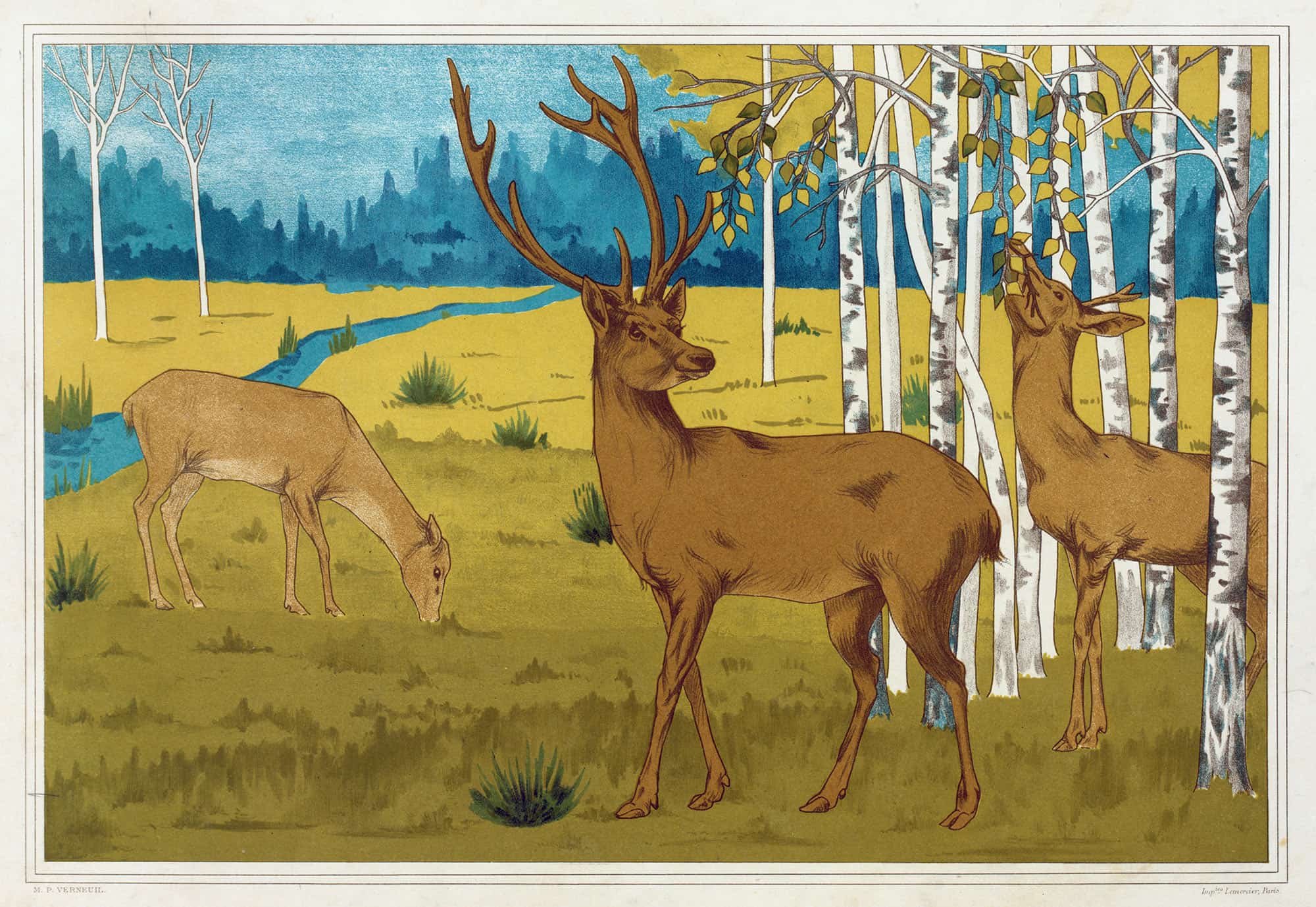 Cerfs by Maurice Pillard Verneuil