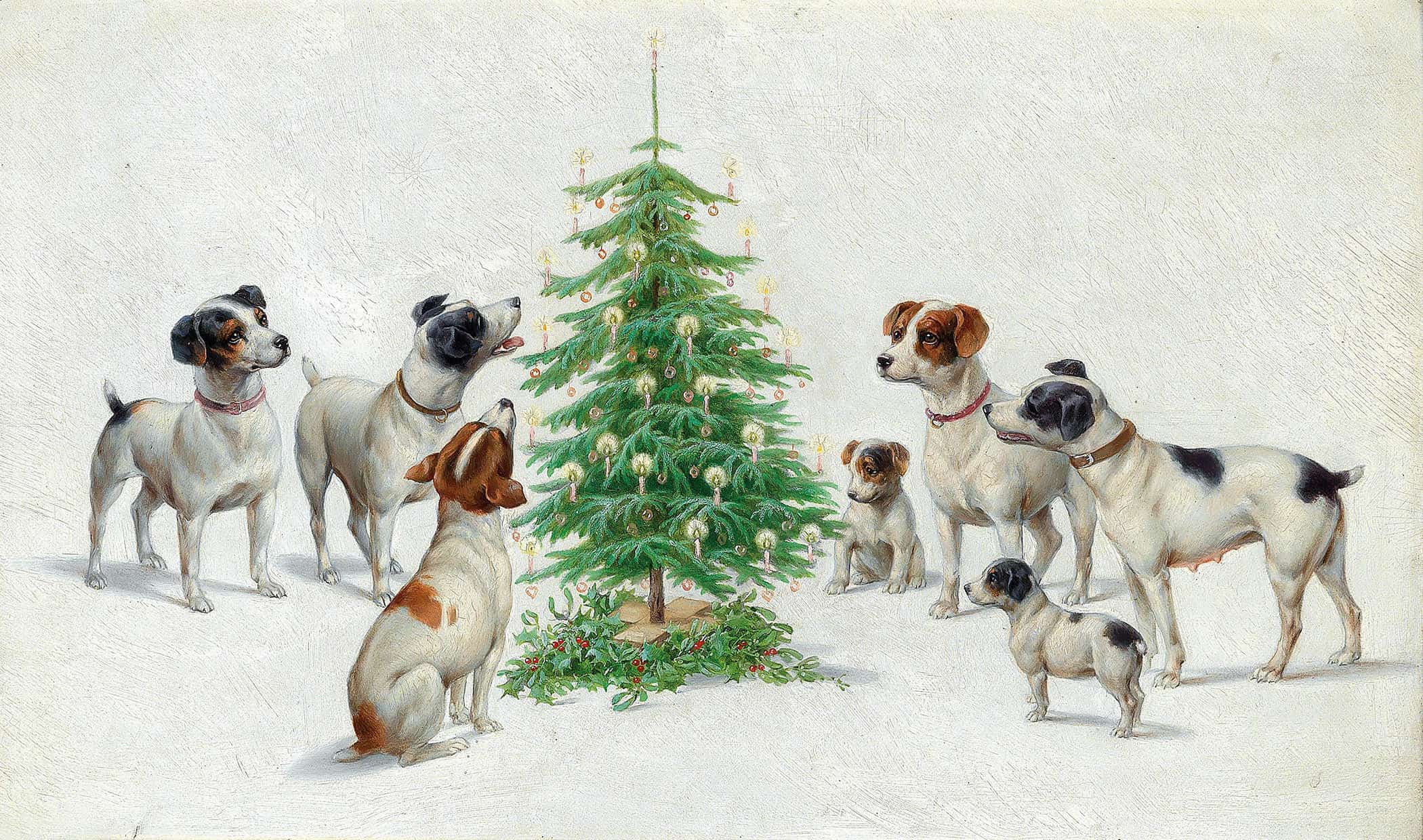 Christmas by Carl Reichert