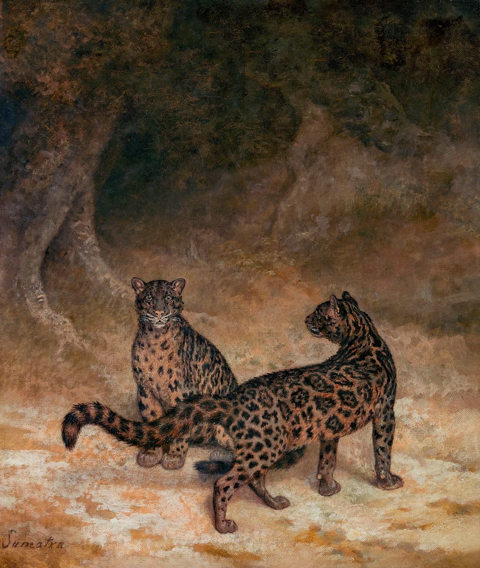 Clouded Leopards by Jacques Laurent Agasse