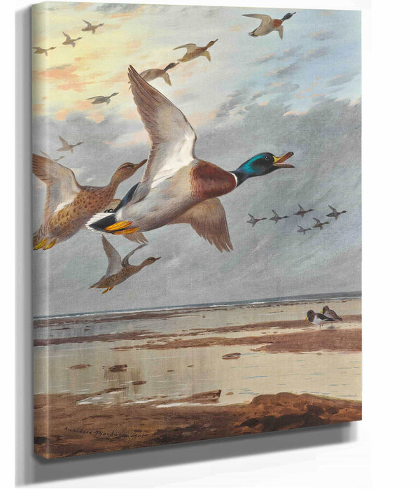 Coming In From The Sea by Archibald Thorburn