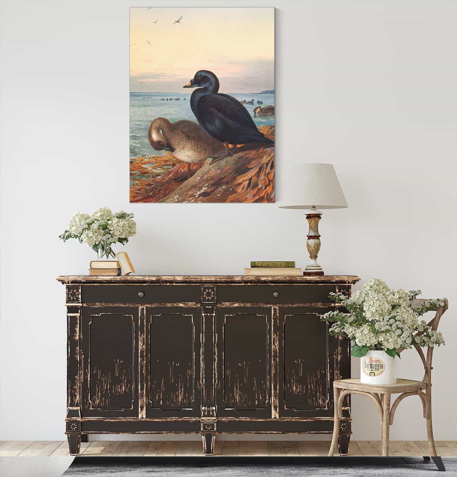 Common Scoter by Archibald Thorburn