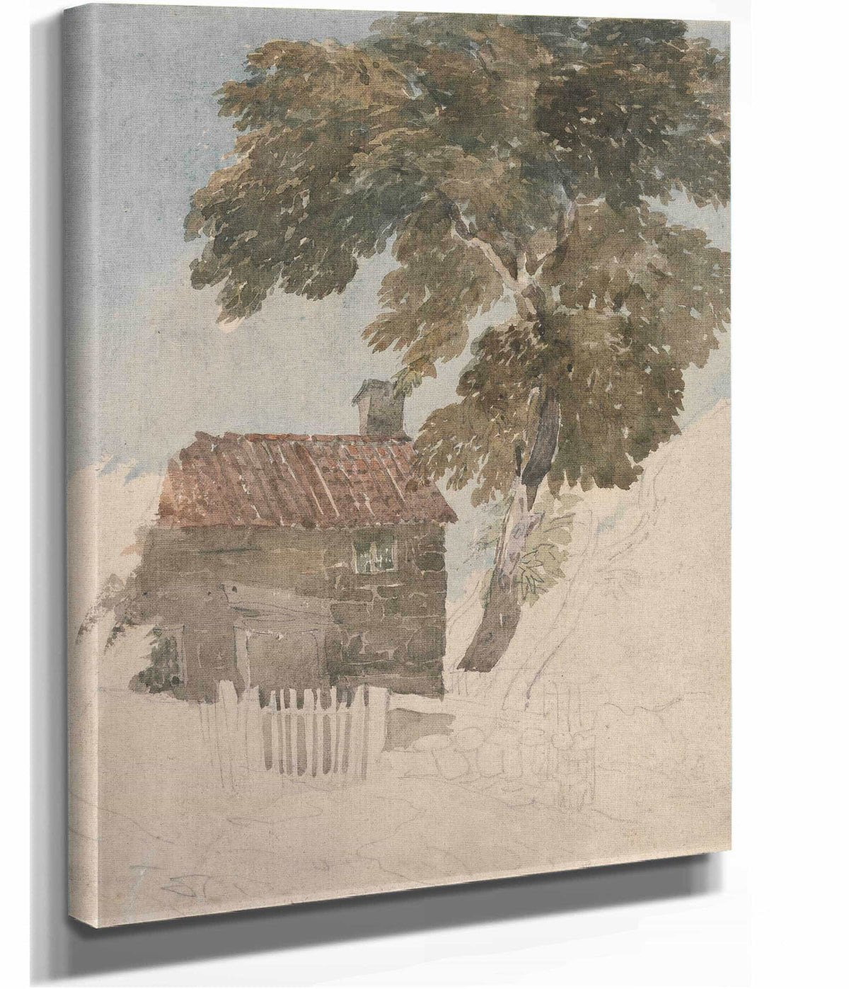 Cottage And Trees S by David Cox