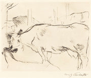 Cow Barn Ii Kuhstall Ii by Lovis Corinth