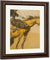 Cowboy On A Bucking Horse (To Old Dad Duncan) By Maynard Dixon