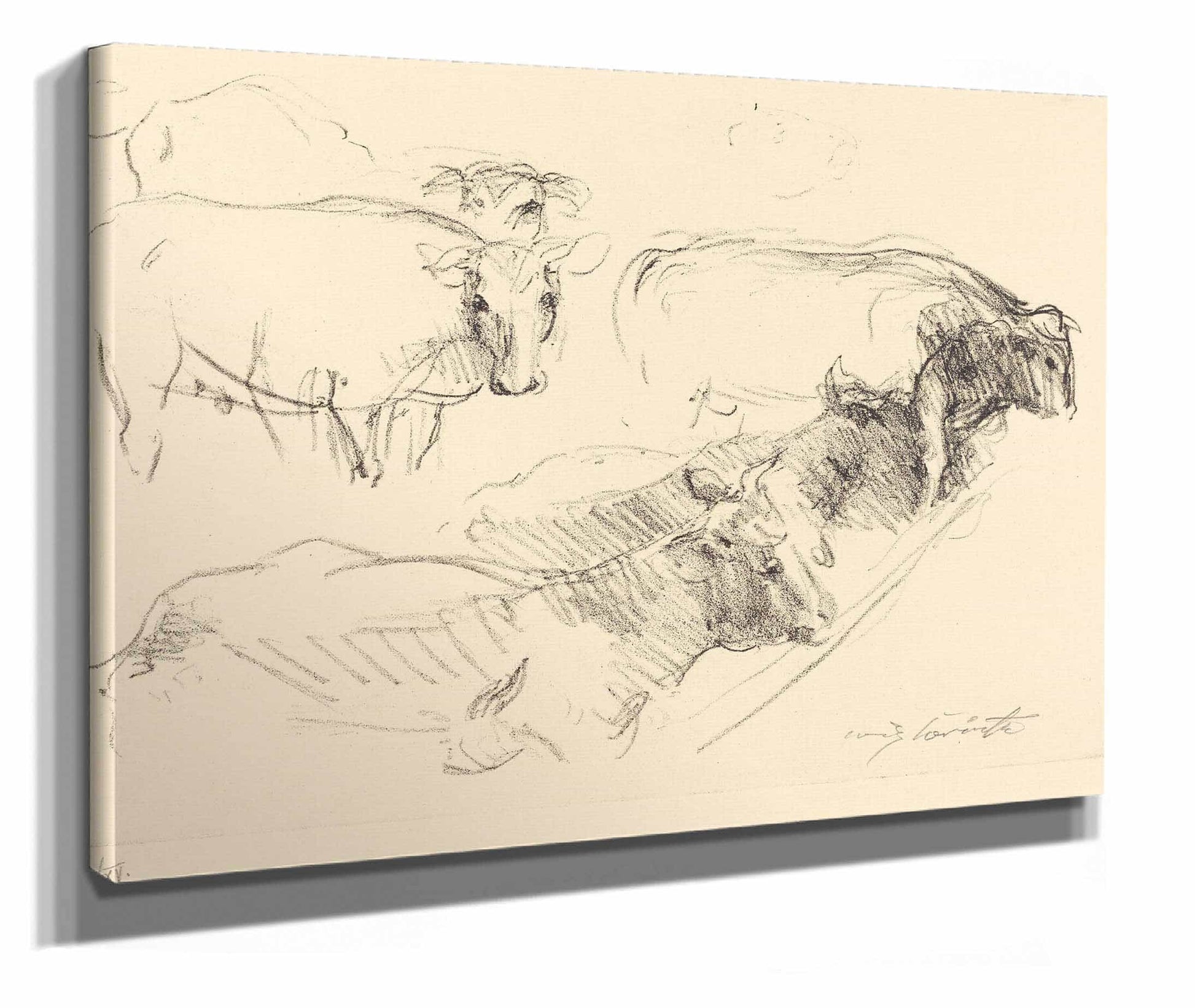 Cows Kuhe by Lovis Corinth
