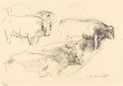 Cows Kuhe by Lovis Corinth