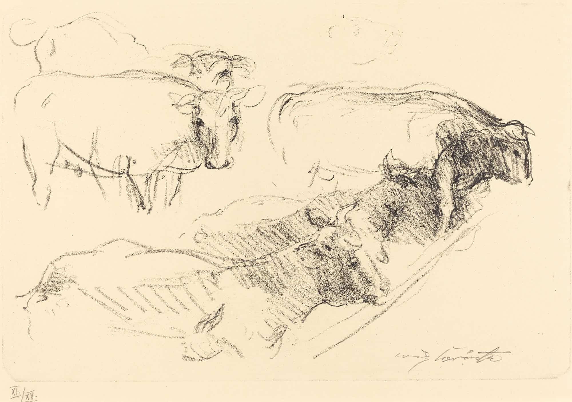Cows Kuhe by Lovis Corinth