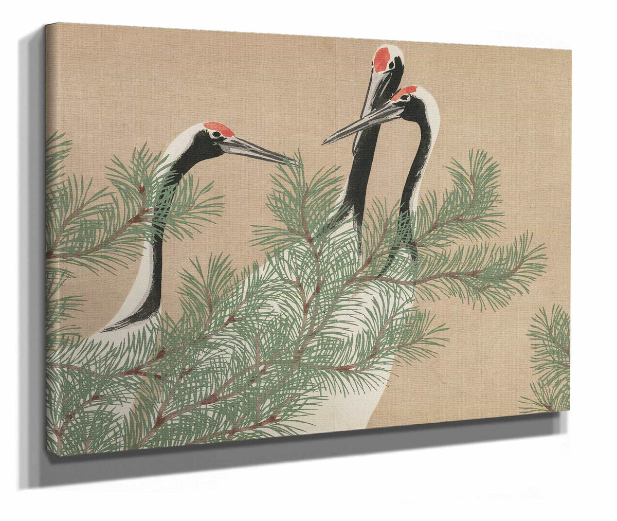 Cranes Tsuru by Kamisaka Sekka