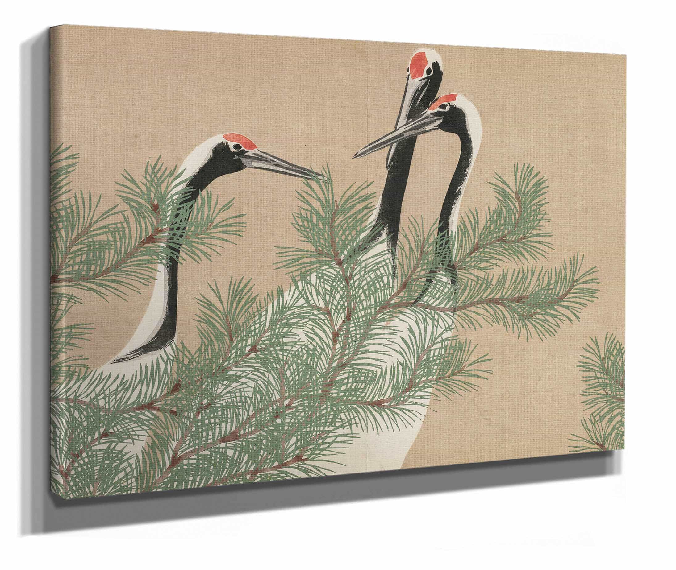 Cranes Tsuru by Kamisaka Sekka