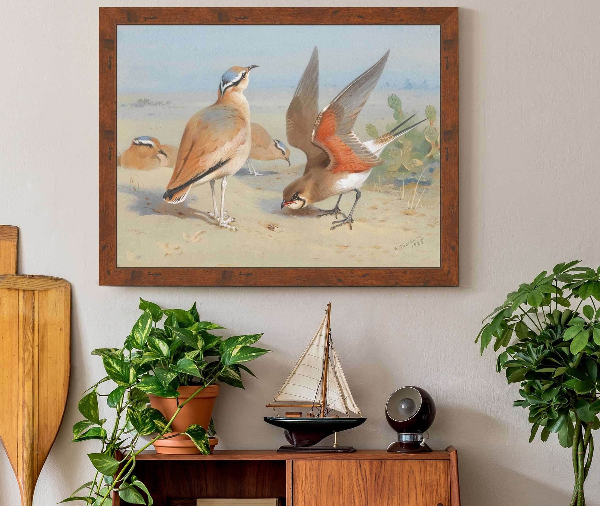 Cream Coloured Courser And Pratincole by Archibald Thorburn