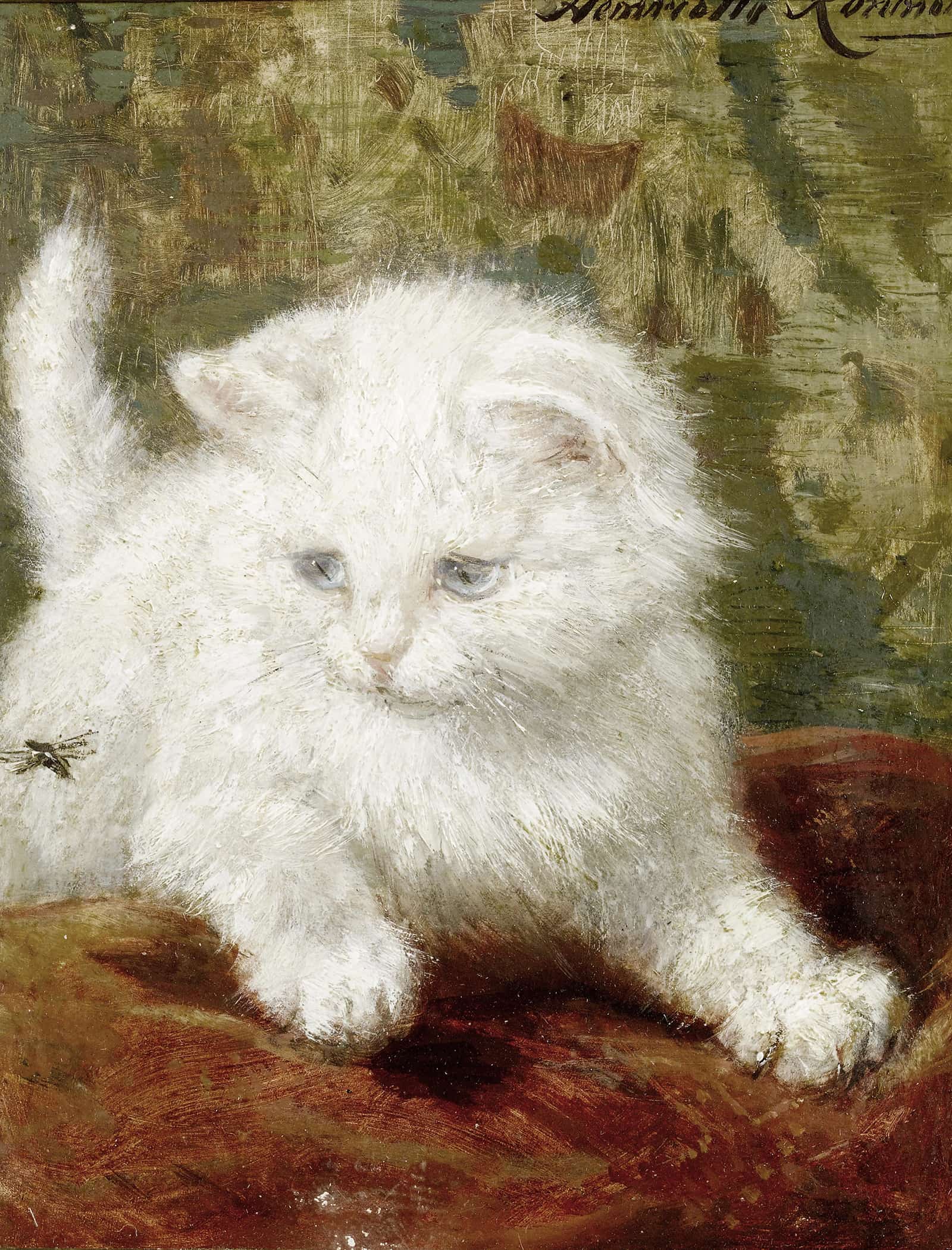 Curiosity by Henriette Ronner Knip