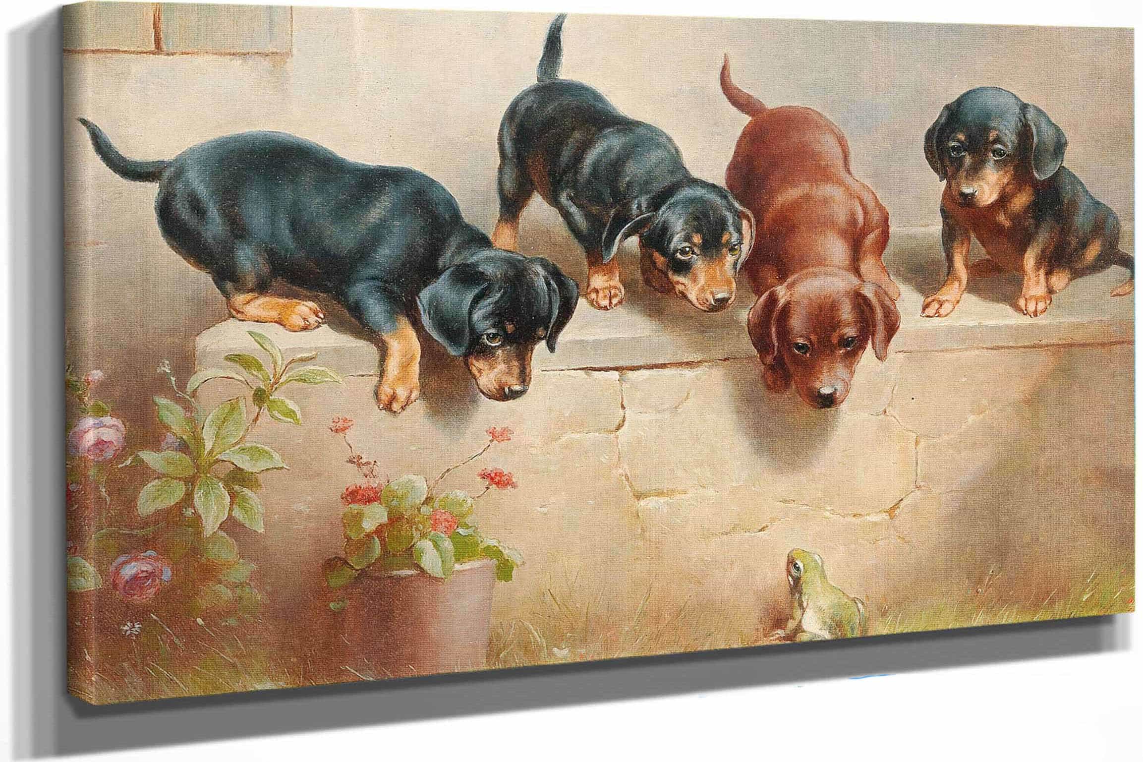 Curious Dachshund Puppies And A Frog by Carl Reichert