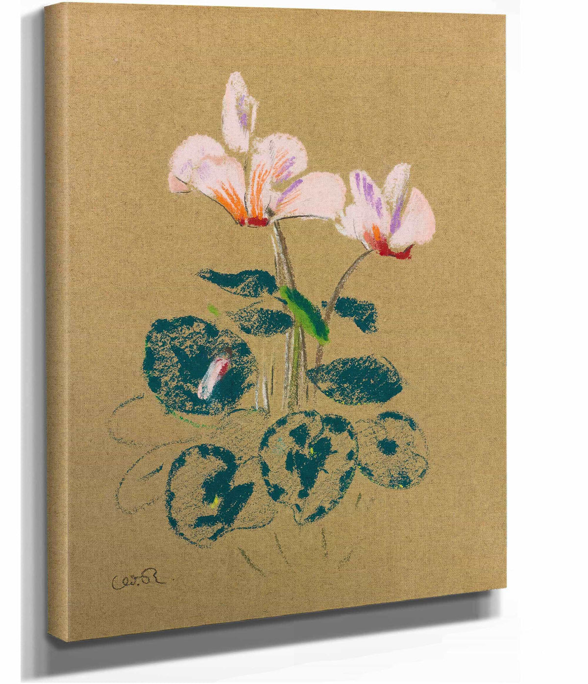 Cyclamen by Odilon Redon