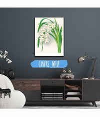 Cymbidium Mastersi by Jean Jules Linden