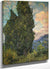 Cypresses By Vincent Van Gogh By 01