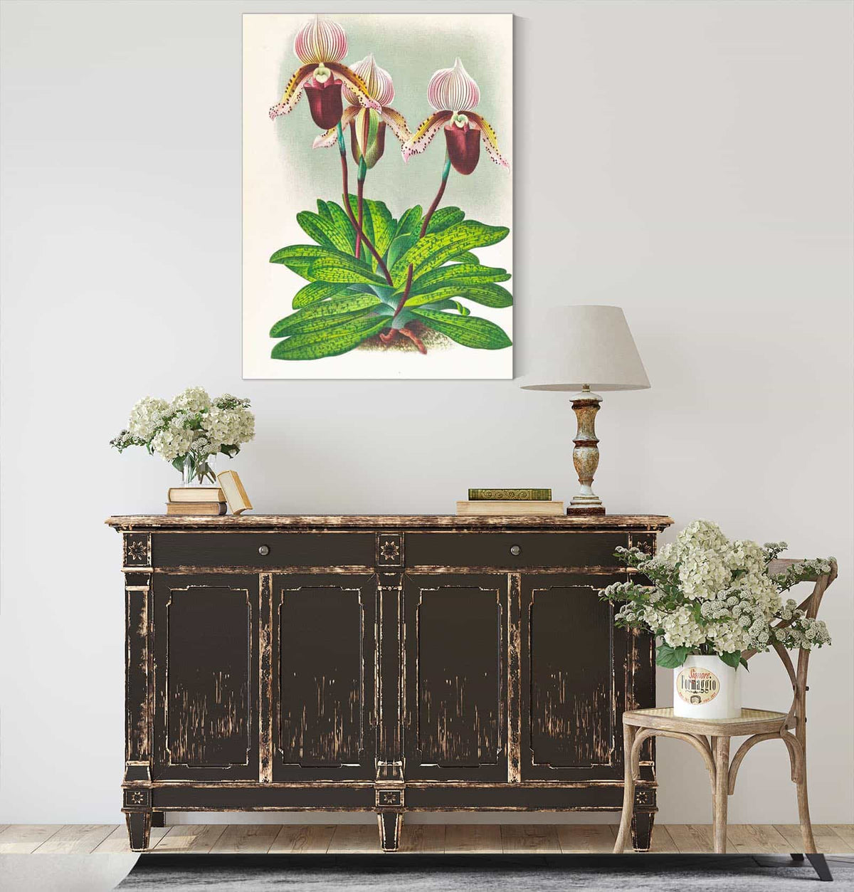 Cypripedium Barbato Veitchianum by Jean Jules Linden