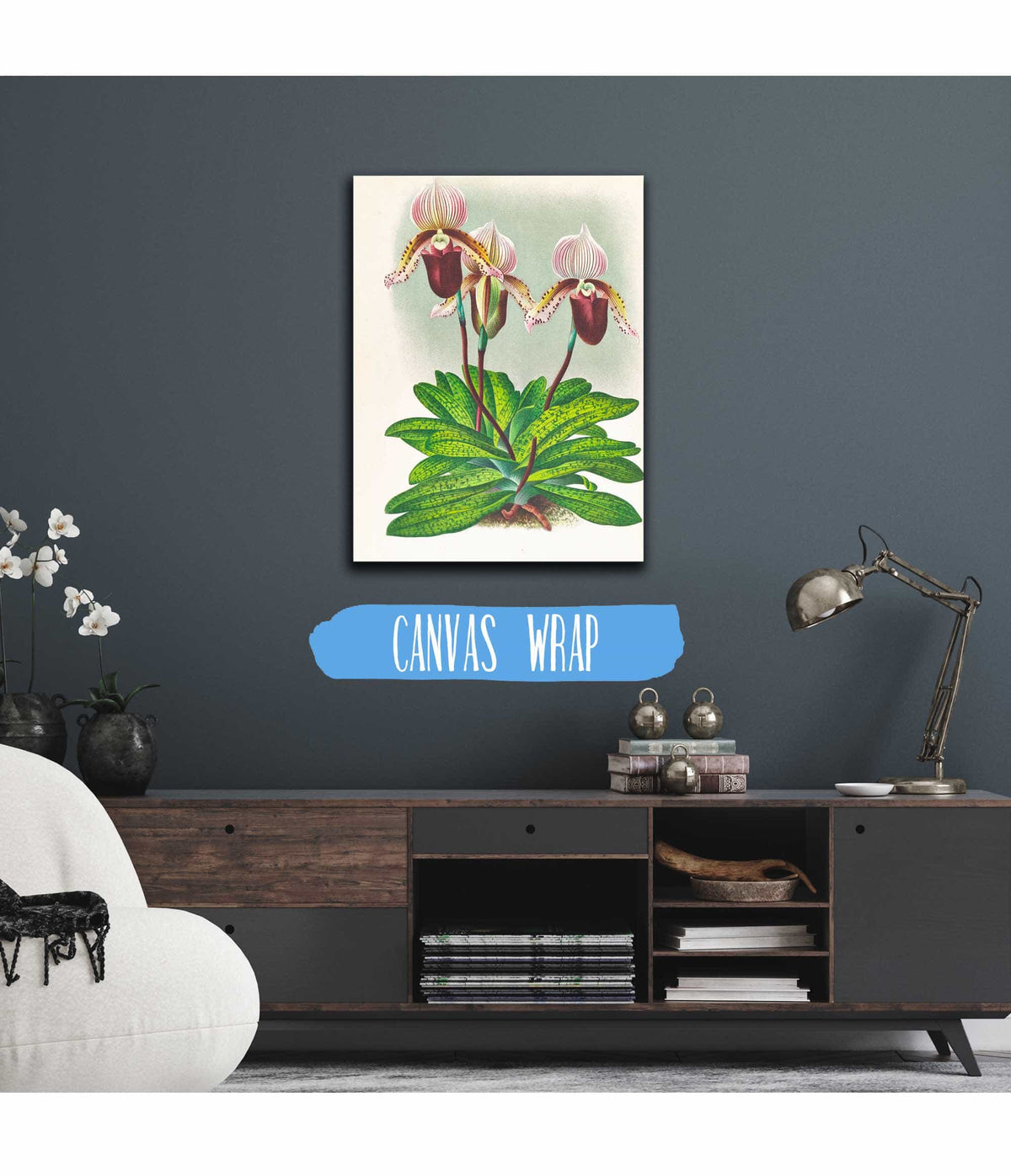 Cypripedium Barbato Veitchianum by Jean Jules Linden