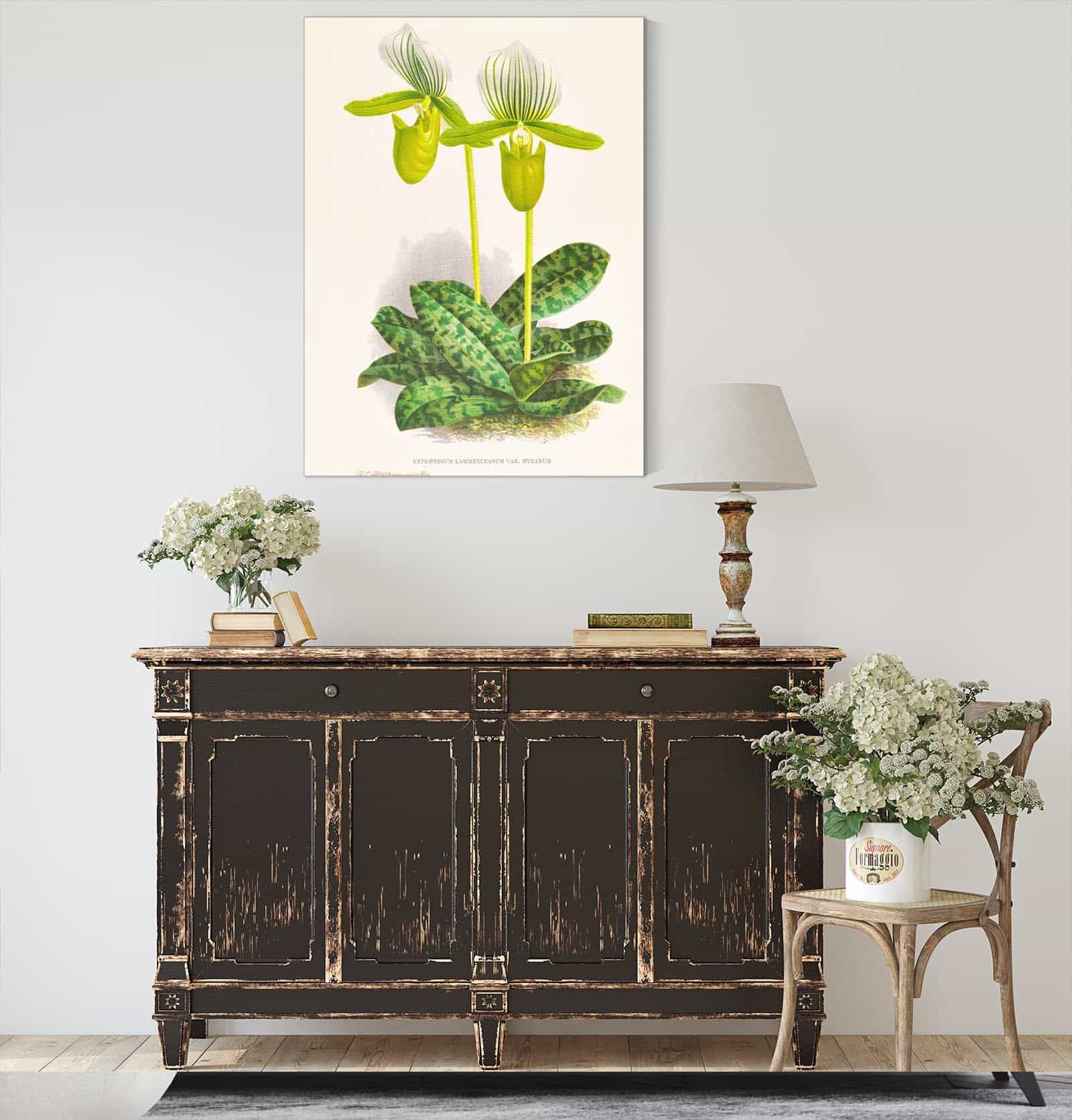 Cypripedium Lawrenceanum Var Hyeanum by Jean Jules Linden