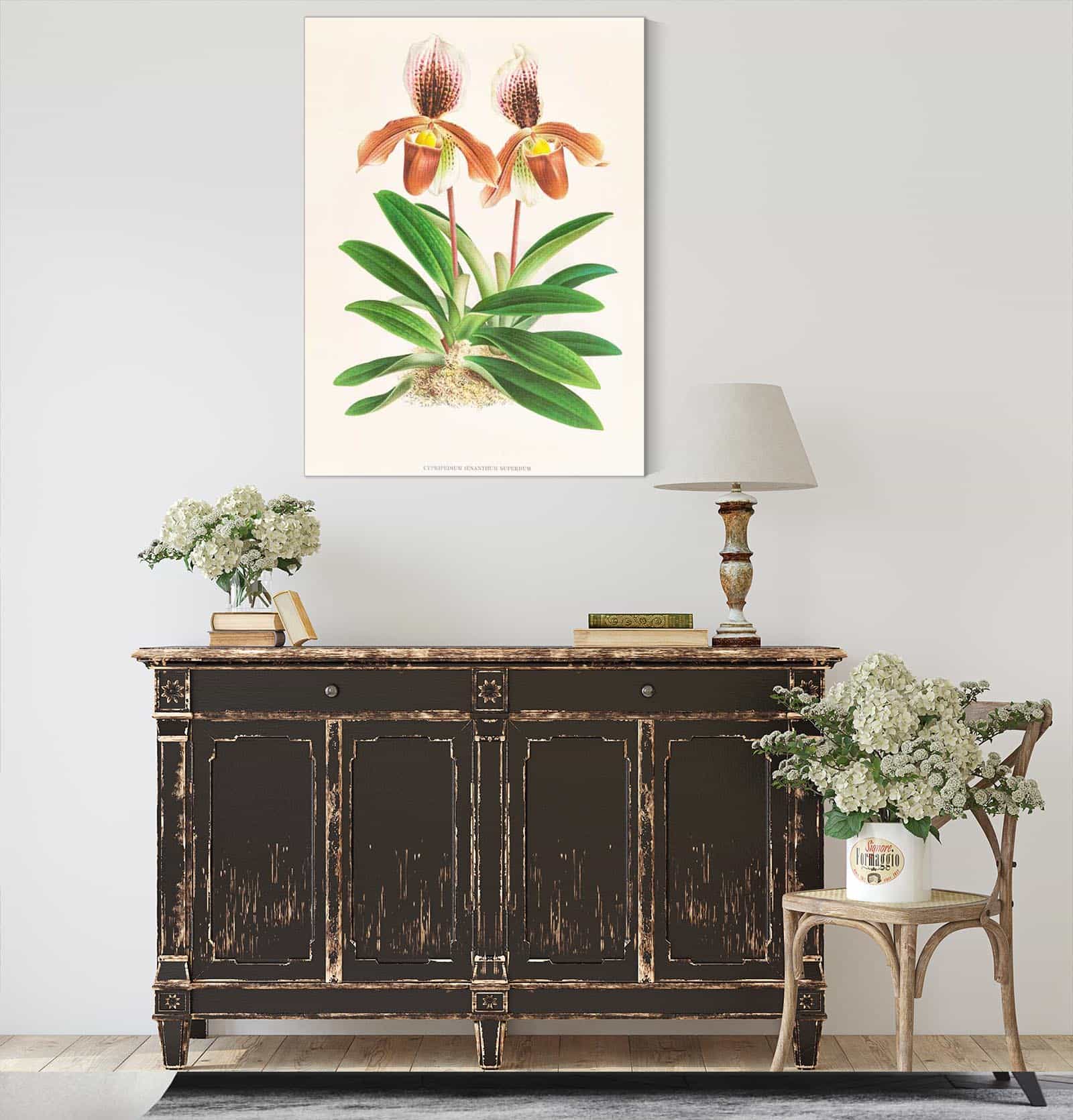 Cypripedium Oenanthum Superbum by Jean Jules Linden