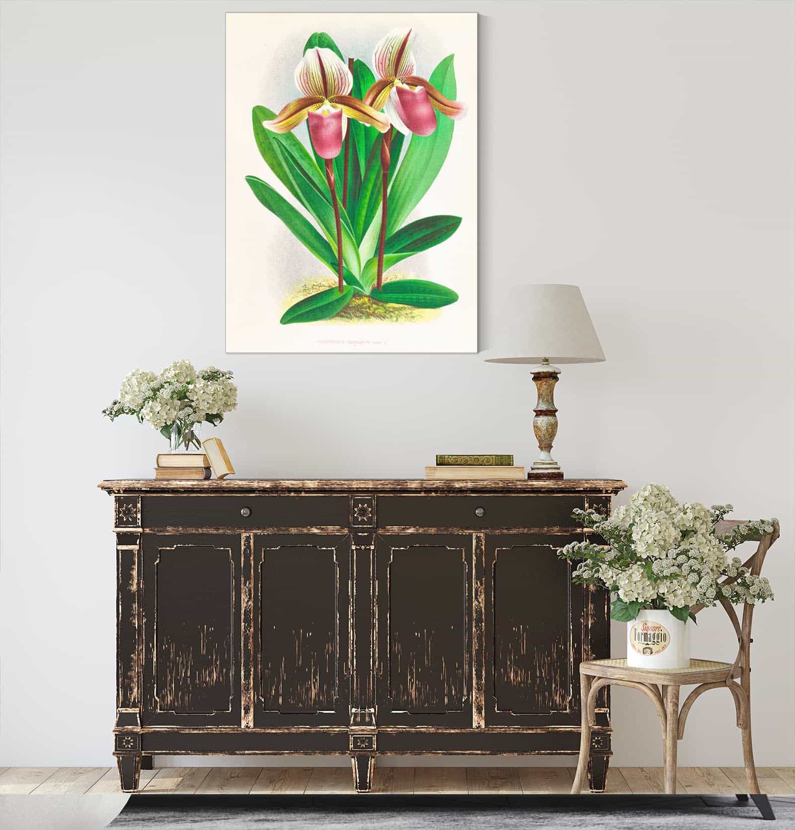 Cypripedium Orphanum by Jean Jules Linden