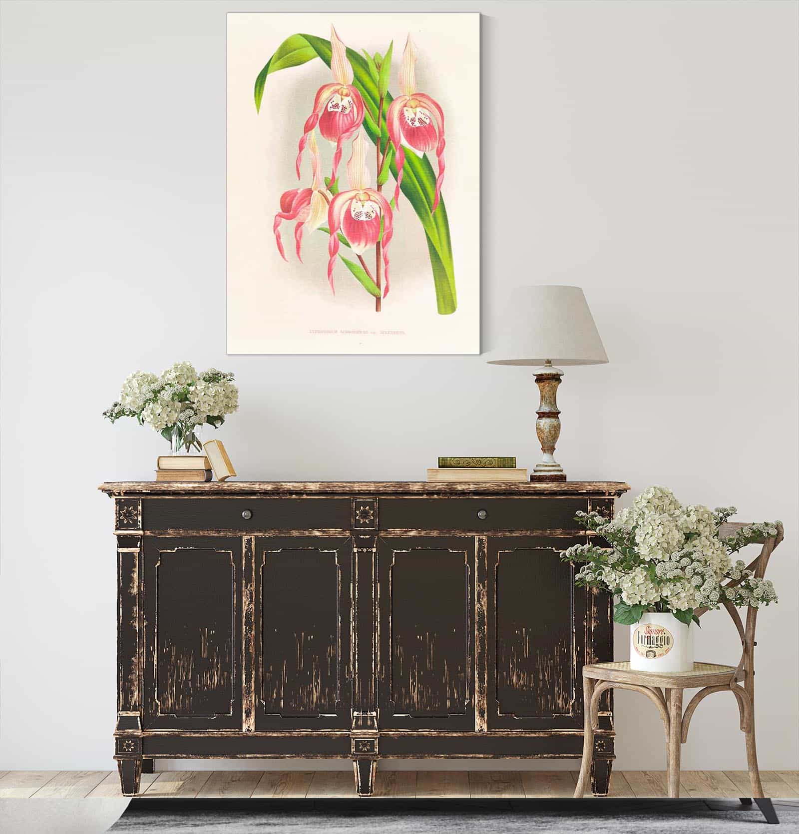 Cypripedium Schroderae Var Splendens by Jean Jules Linden
