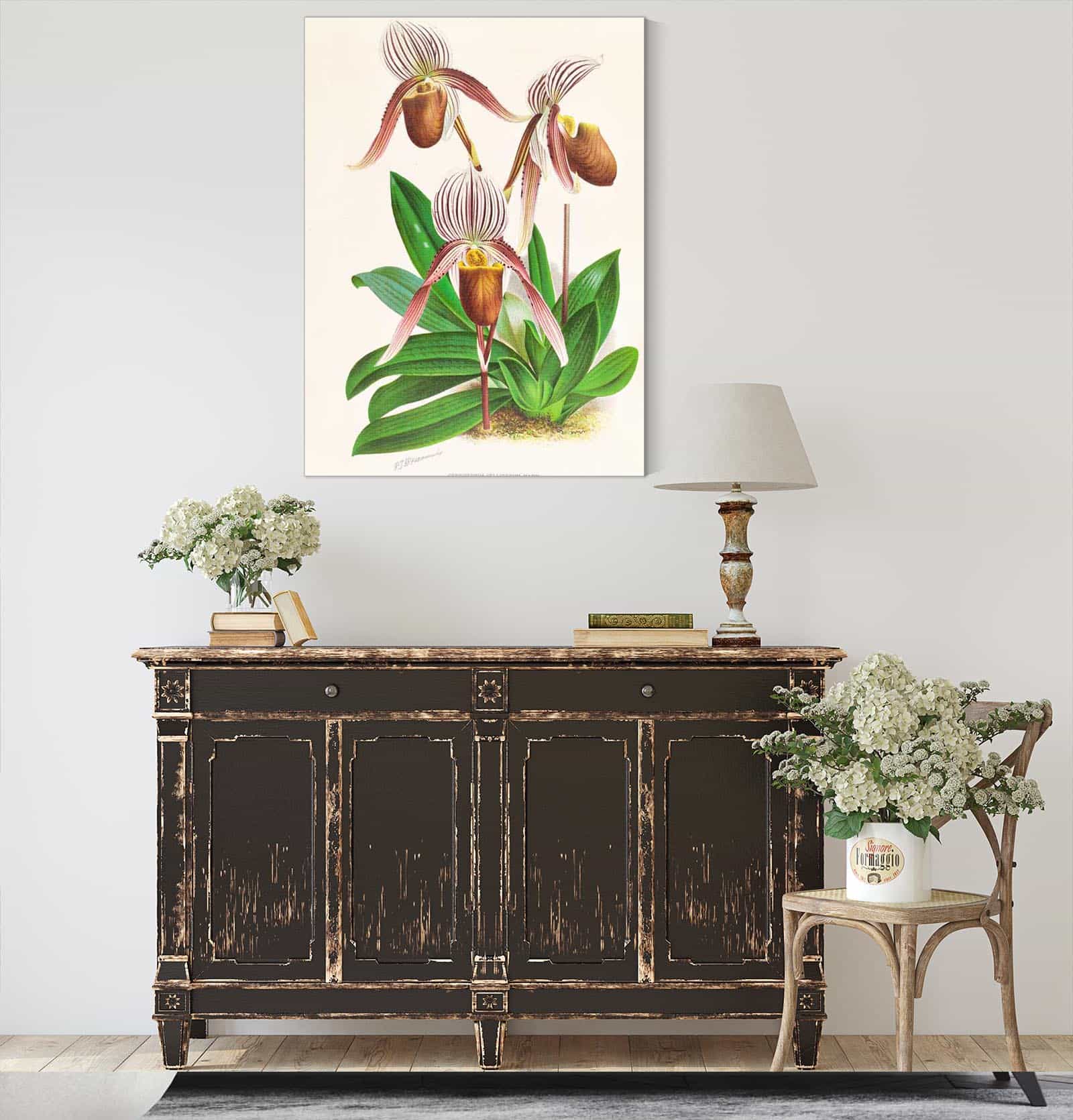 Cypripedium Selligerum Majus by Jean Jules Linden
