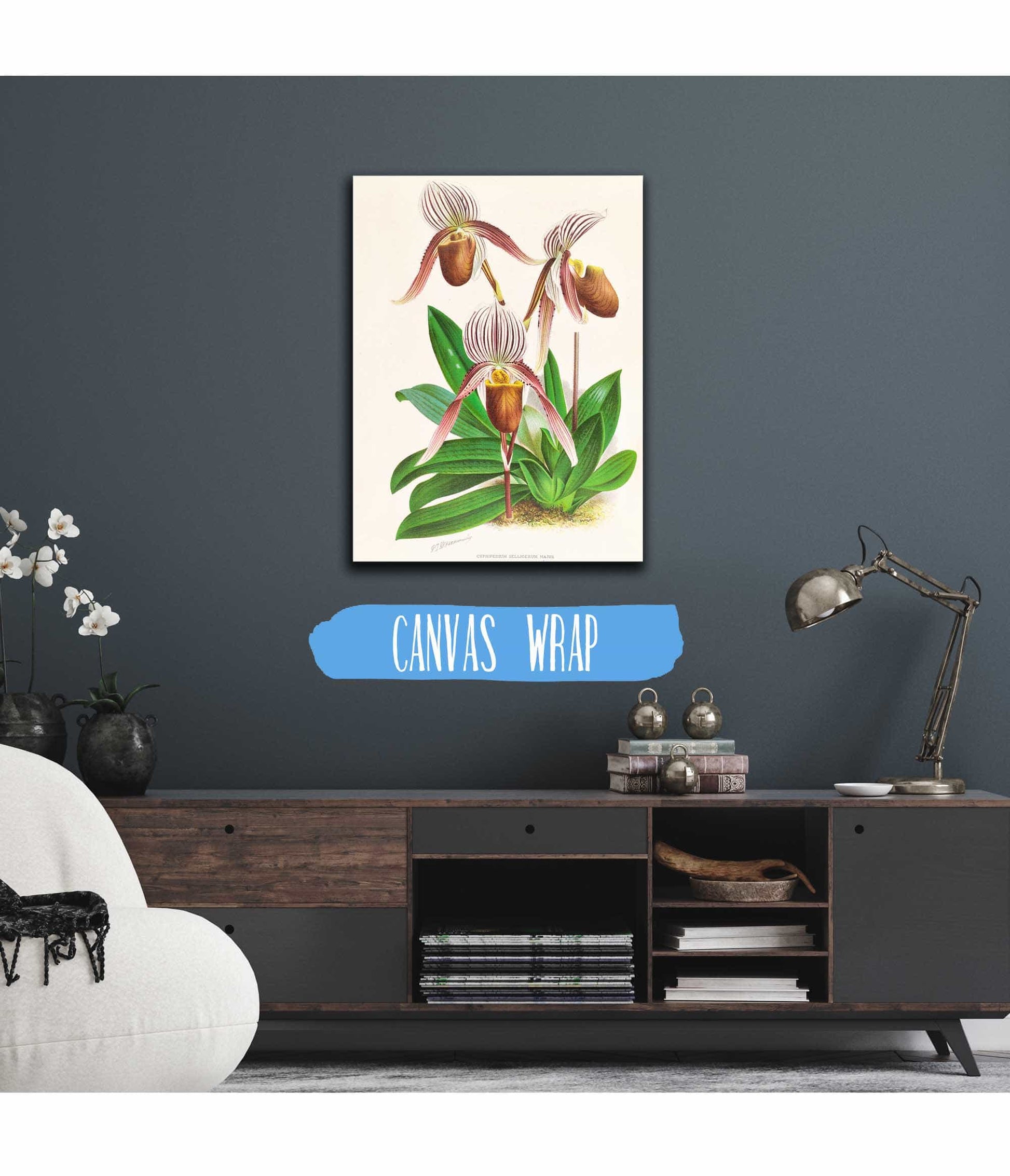 Cypripedium Selligerum Majus by Jean Jules Linden
