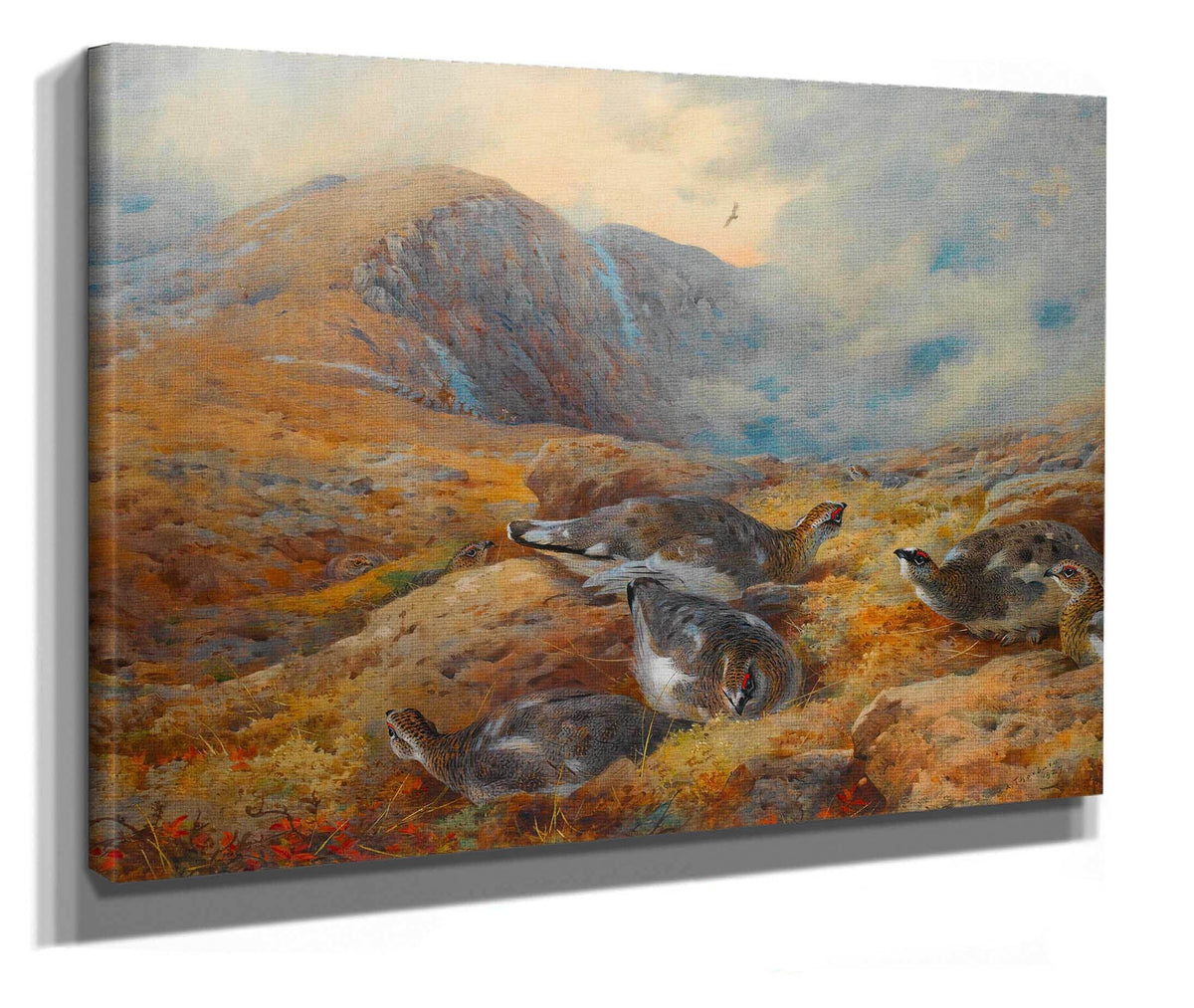 Danger Aloft Ptarmigan by Archibald Thorburn