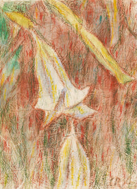 Datura Japonica Engelstrompeten by Christian Rohlfs