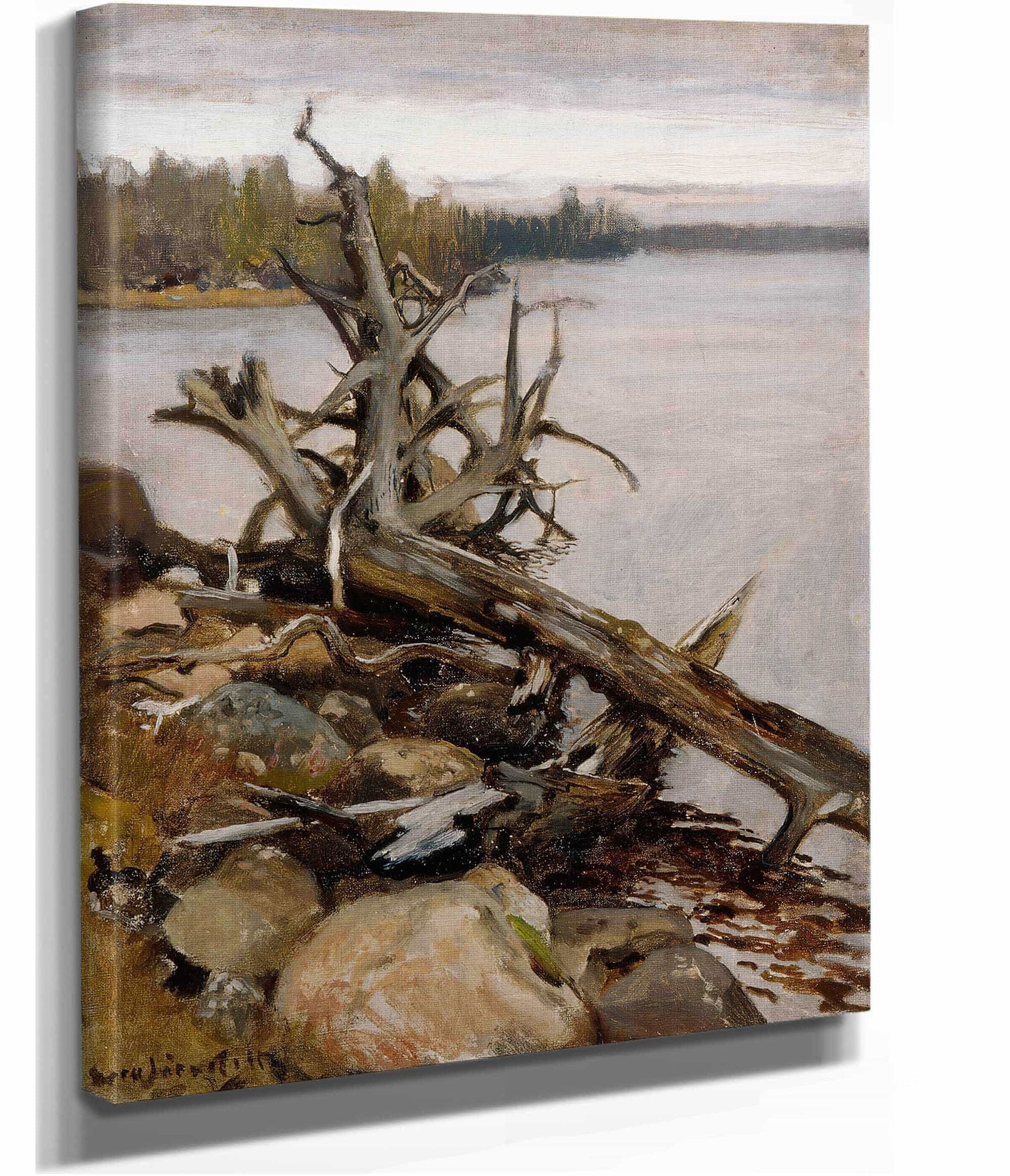 Dead Pine In The Water by Eero Jarnefelt