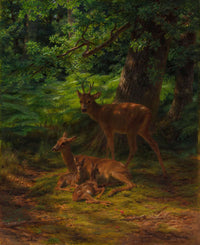 Deer In Repose by Rosa Bonheur