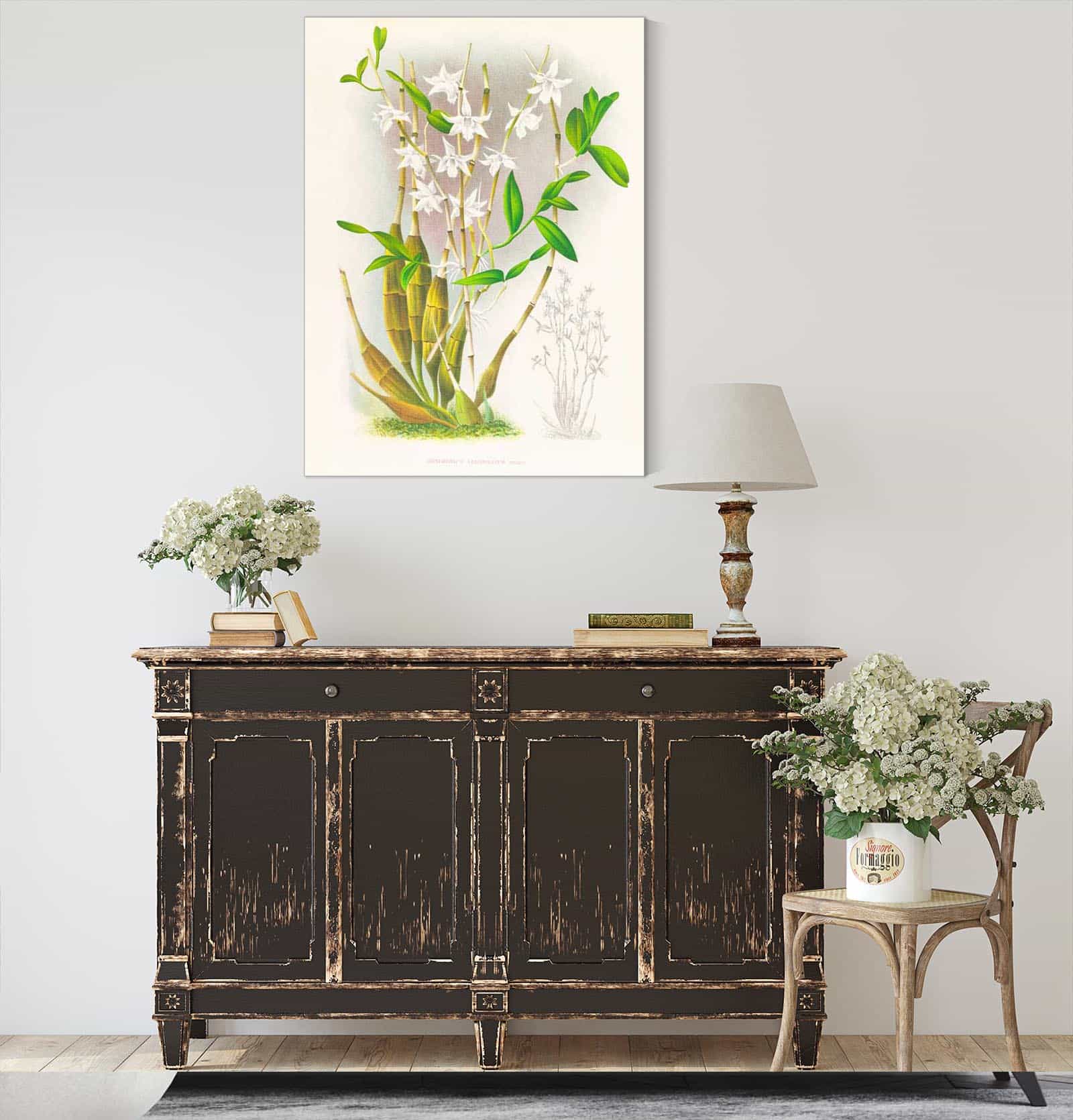 Dendrobium Crumenatum by Jean Jules Linden