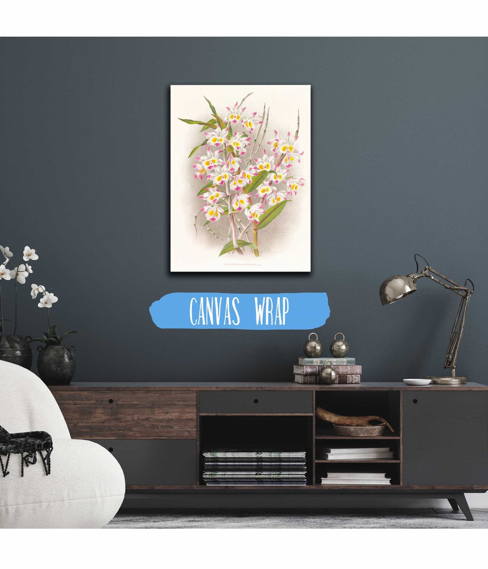 Dendrobium Devonianum by Jean Jules Linden