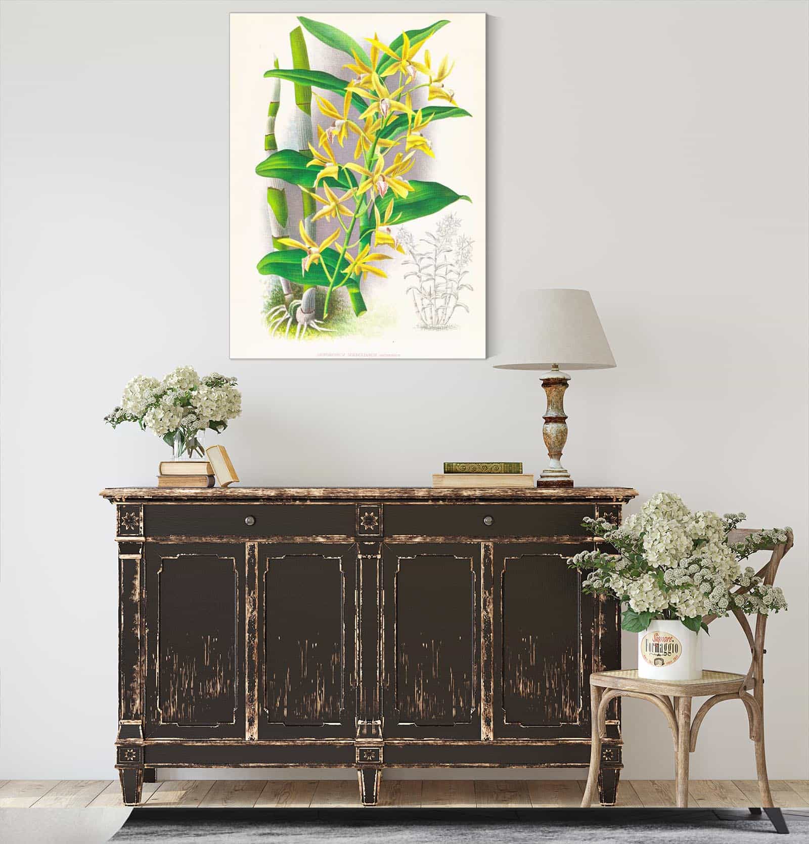 Dendrobium Mirbelianum by Jean Jules Linden