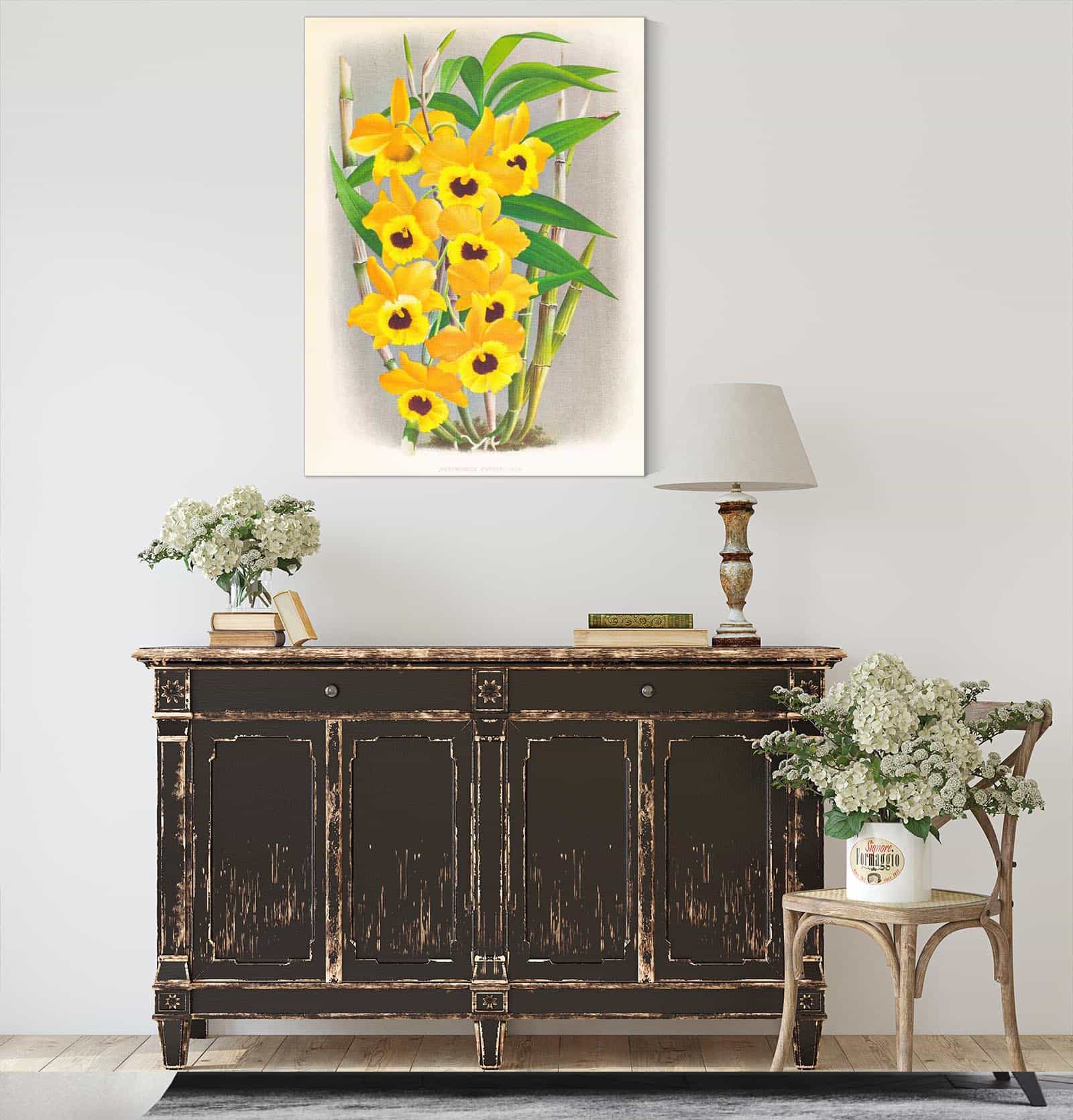 Dendrobium Paxtoni by Jean Jules Linden