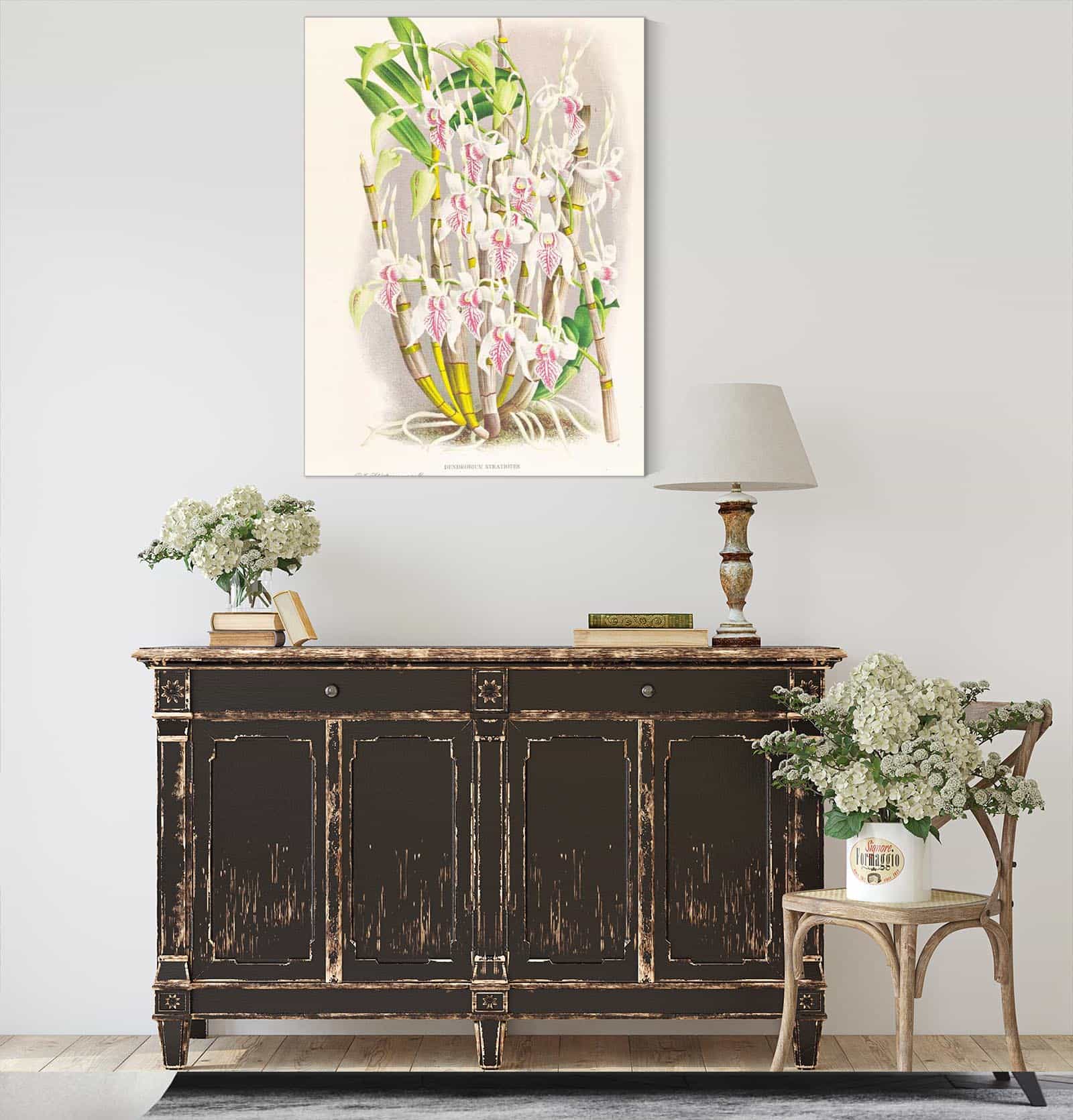 Dendrobium Stratiotes by Jean Jules Linden