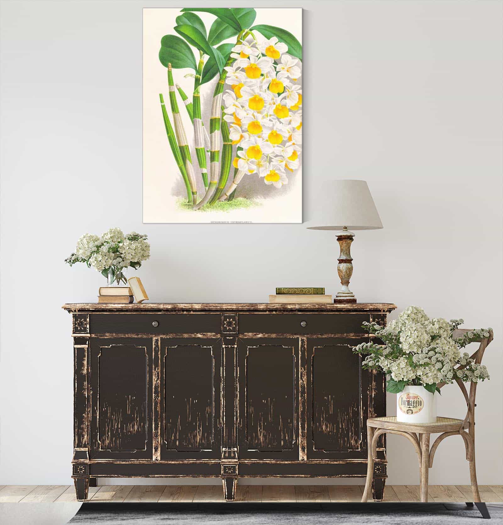 Dendrobium Thyrsiflorum by Jean Jules Linden