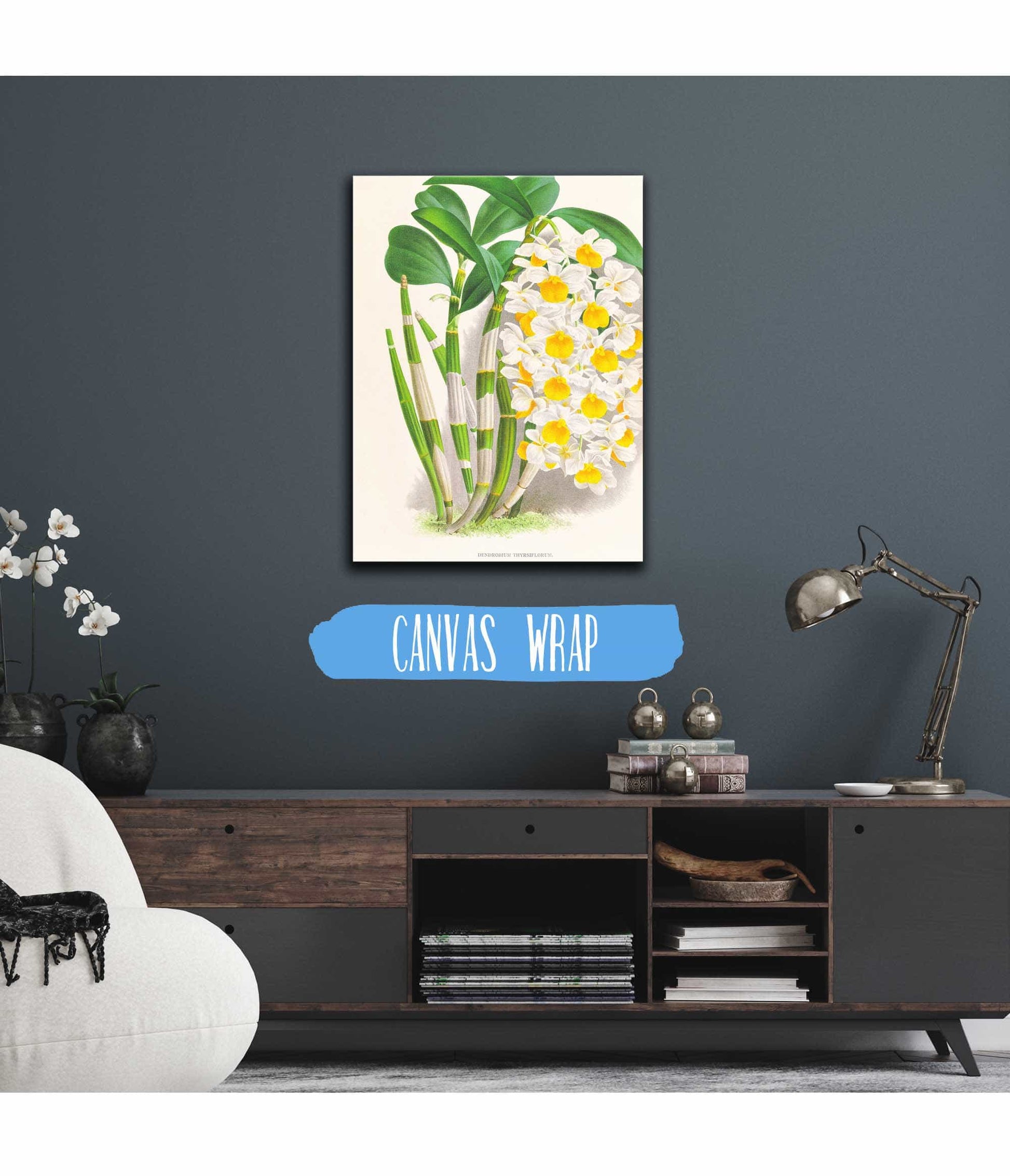 Dendrobium Thyrsiflorum by Jean Jules Linden