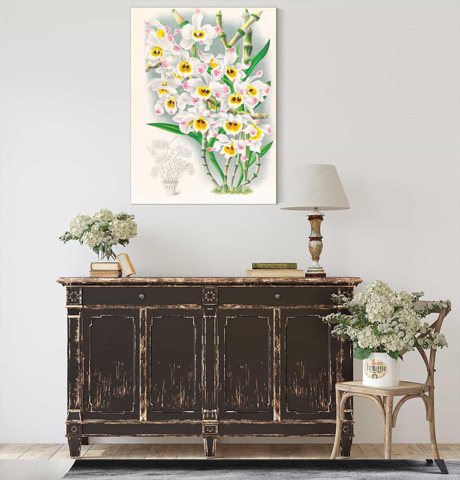 Dendrobium Wardianum by Jean Jules Linden